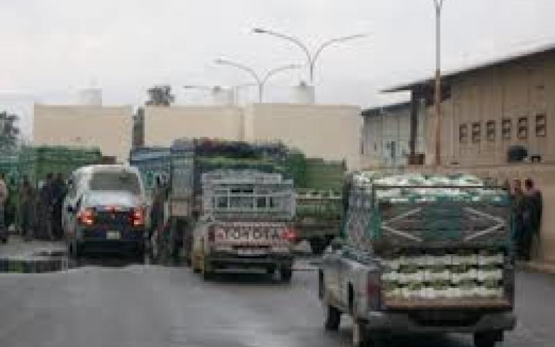 1100 طن كميات الخضار الواردة لسوق العارضه الأحد