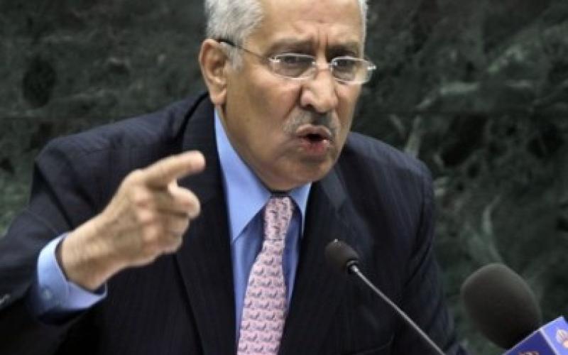 النسور: سحب السفراء أو طردهم لن يخدم قضية زعيتر