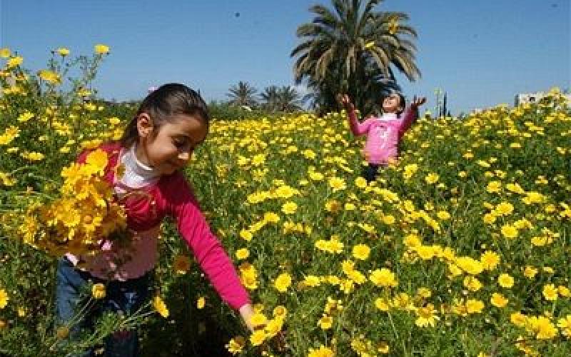 ارتفاع على درجات الحرارة اليوم