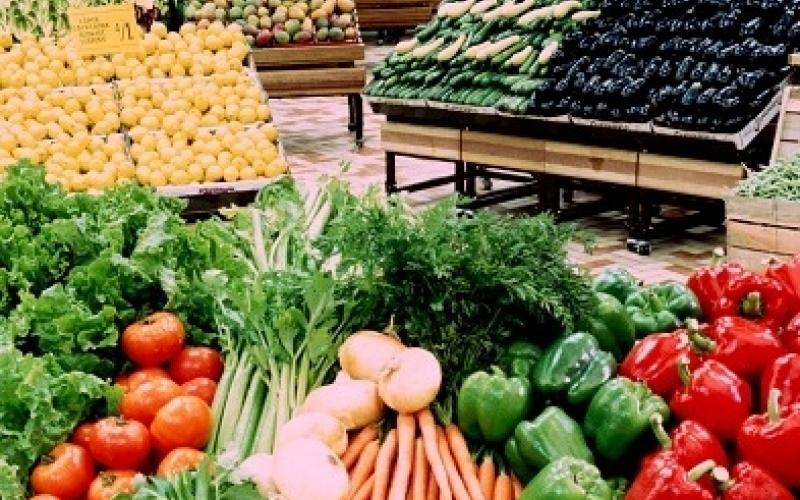 الزراعة: خضارنا ذات جودة عالمية