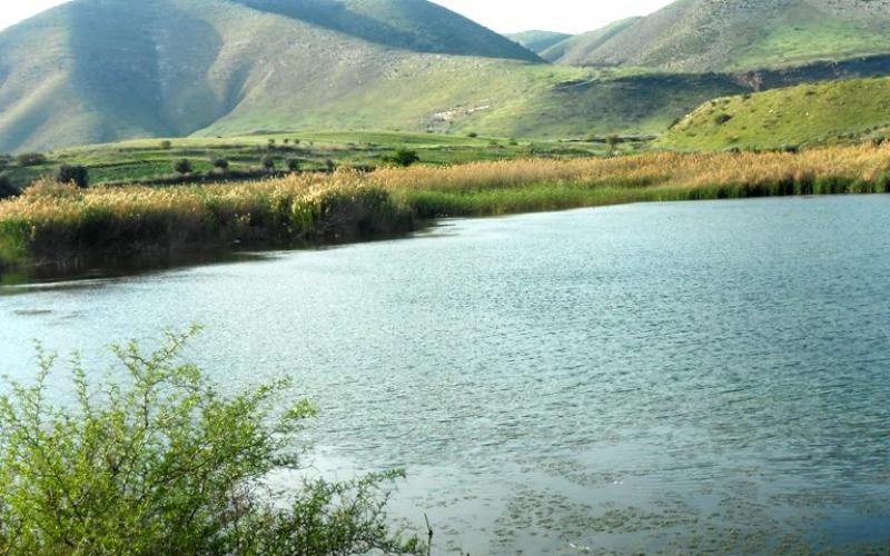 بحيرة "ام العرايس" - قرية ملكا بإربد شمال الأردن 