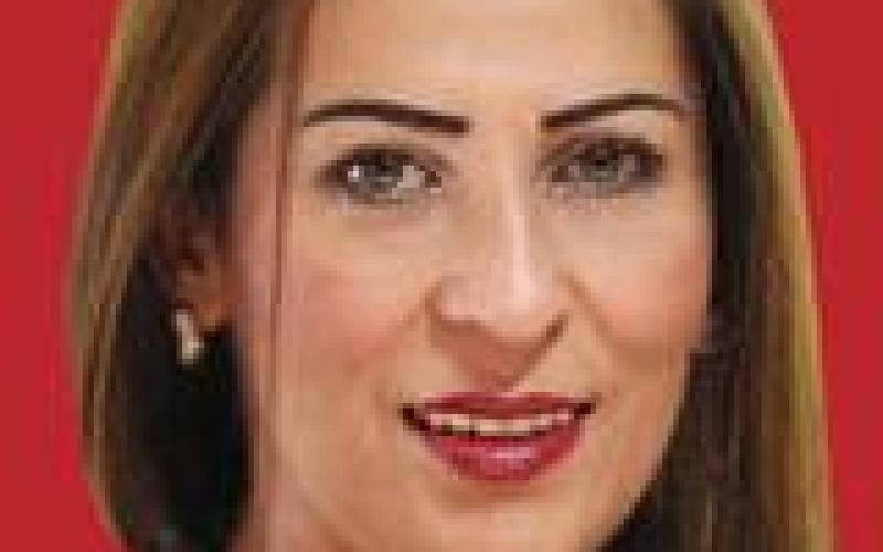 ملكيات الحكومة وإدارتها