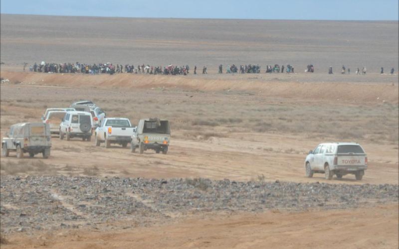 الكلالدة: السوريون يشكلون 14% من 9.9 مليون مقيم في المملكة