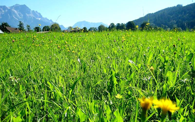 طقس ربيعي ومعتدل حتى الثلاثاء