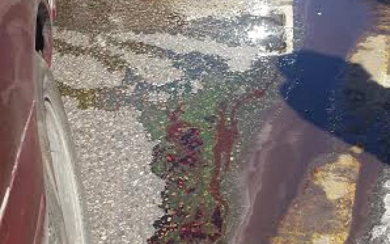 3 إصابات بتصادم 5 مركبات على الداخلية - صور