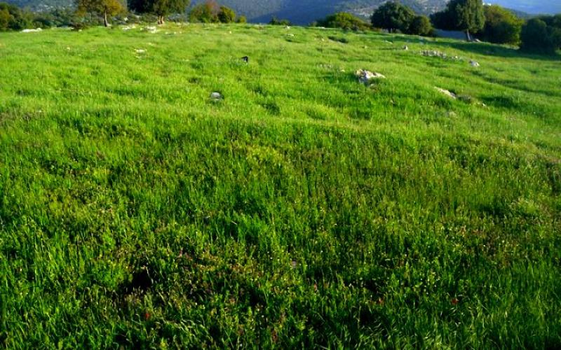 استقرار الحالة الجوية الأيام المقبلة