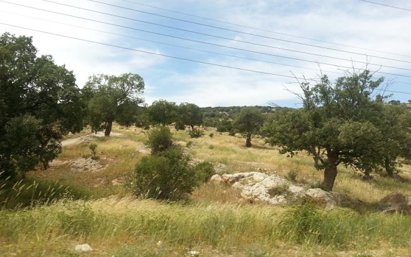 "بيرين" رئة الزرقاء وعاصمتها السياحية