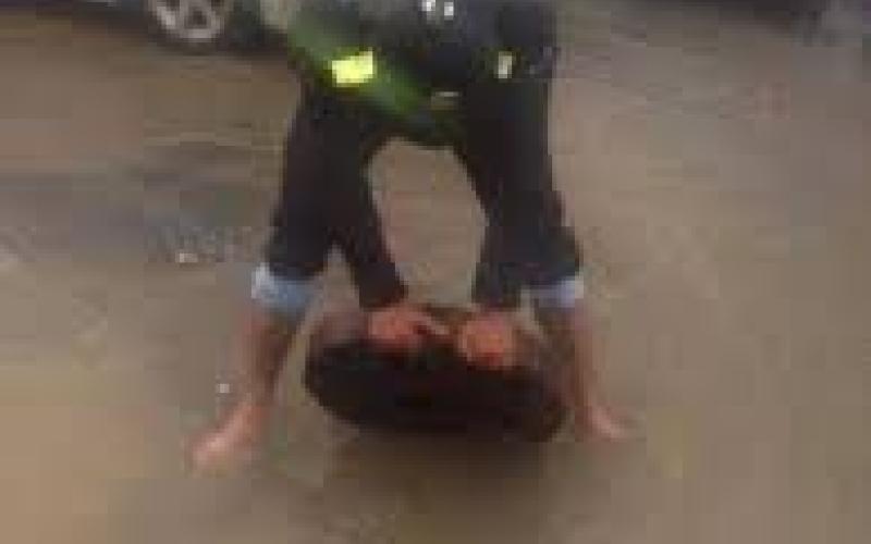 "ينبضون" وطنية!