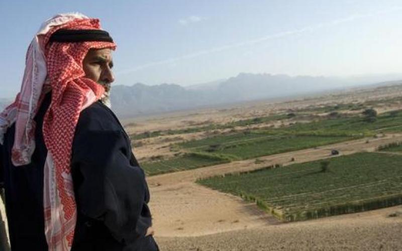 الحكومة تقر خطة لتنمية وتطوير وادي عربة