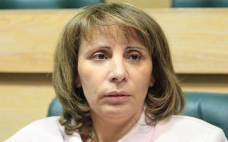 شبيب: فاتورة الطاقة تشكل 17% من الناتج المحلي الاجمالي