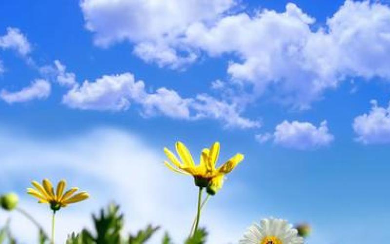 أجواء ربيعية وانخفاض طفيف على الحرارة السبت