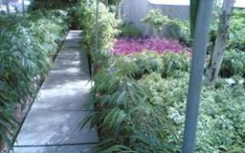 لاجئون سوريون يحاولون بعث الحياة في الصحراء