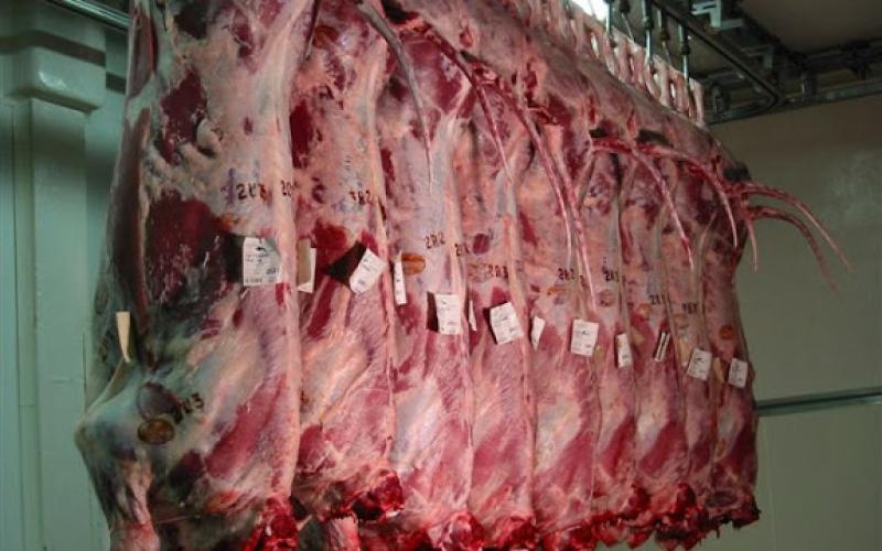 نقابة التجار تتوقع استقرار أسعار المواد الغذائية في رمضان