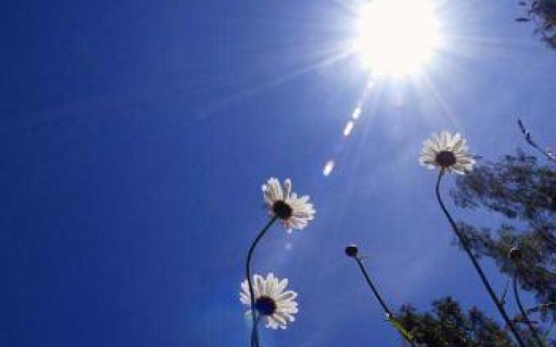 كتلة هوائية حارة نسبيا والعظمى في عمان 33 درجة