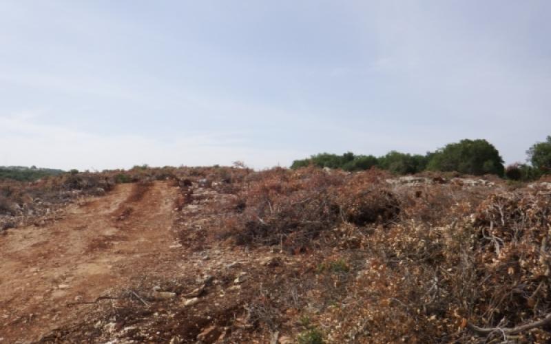 الزراعة تؤيد اقامة مشروع سانت هيرست في برقش