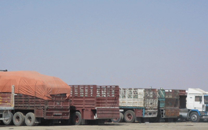 العراق تفتح أسواقها للخضار الأردنية بعد توقفها لأيام