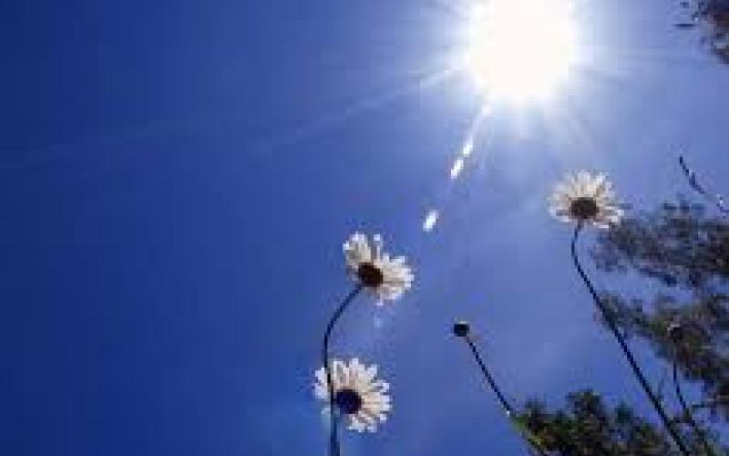 طقس معتدل بأغلب المناطق