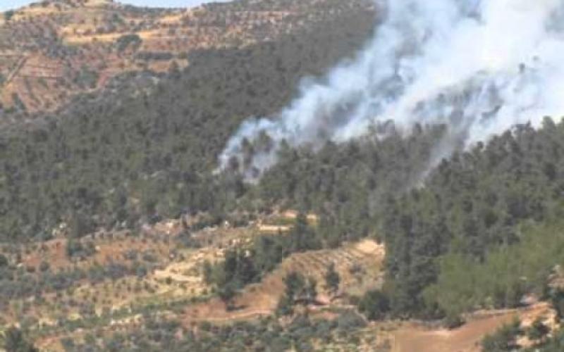 اخماد حريق في غابات دبين