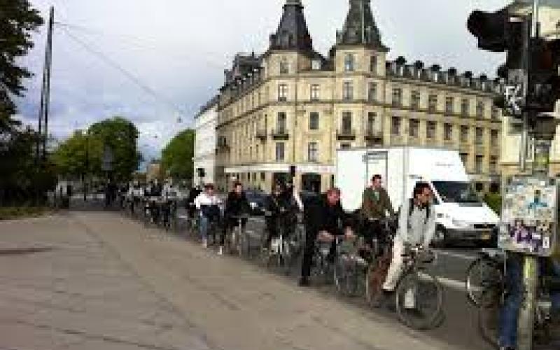 عصافير كثيرة