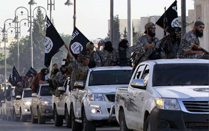 خبيران أردنيان : "داعش" صلبة وعلى درجة عالية من التنظيم