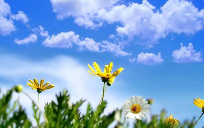 أجواء معتدلة في مختلف مناطق المملكة