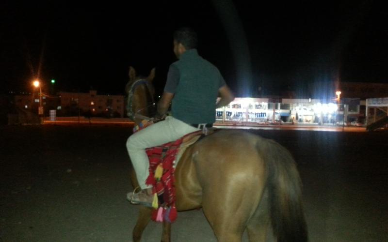 دعوات لضبط وتنظيم مهنة تأجير الخيول بالزرقاء