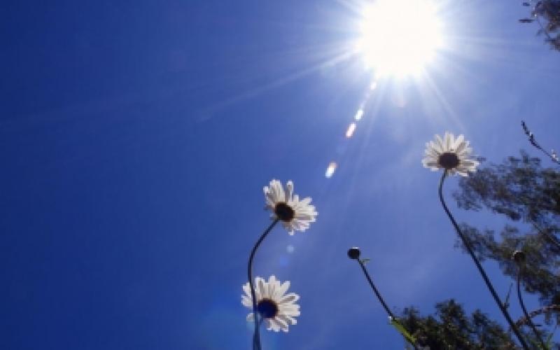 أجواء معتدلة والعظمى في عمان 30 درجة