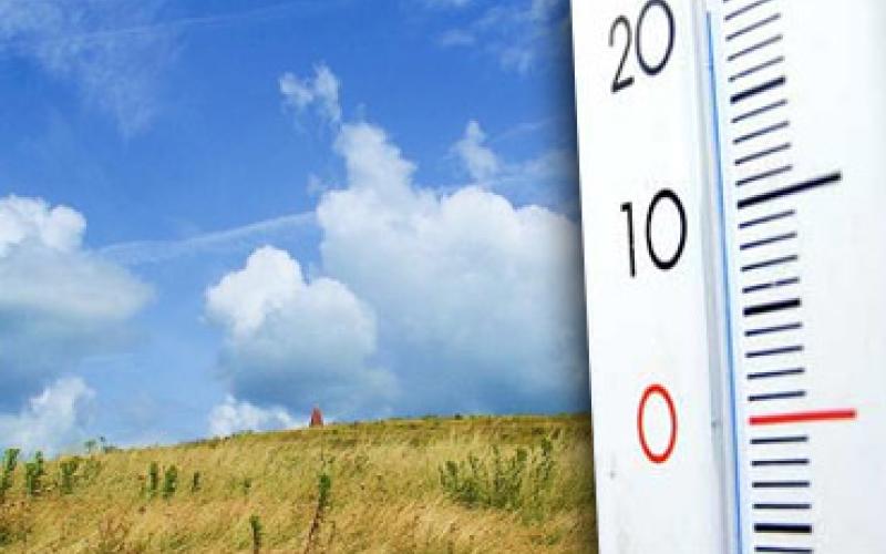 طقس معتدل حتى نهاية الاسبوع