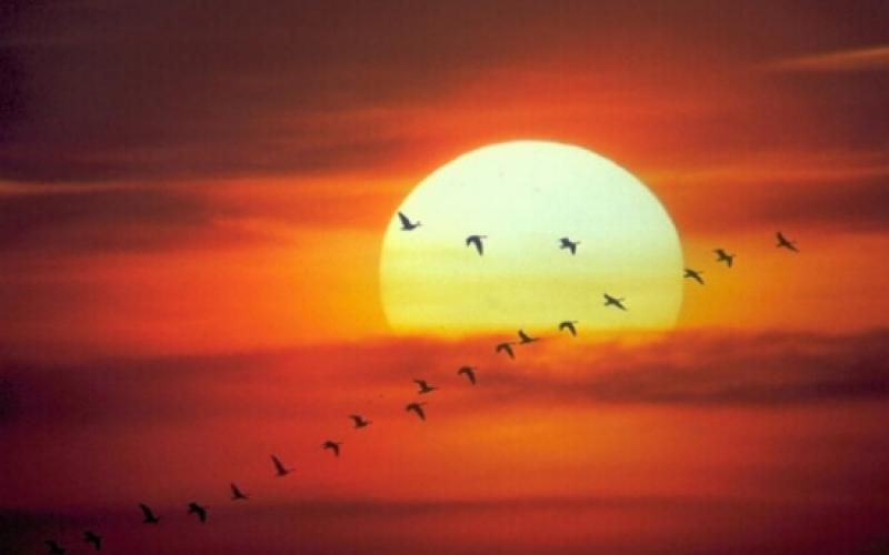 طقس صيفي عادي حتى السبت