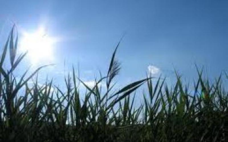 أجواء صيفية والعظمى في عمان 32 درجة