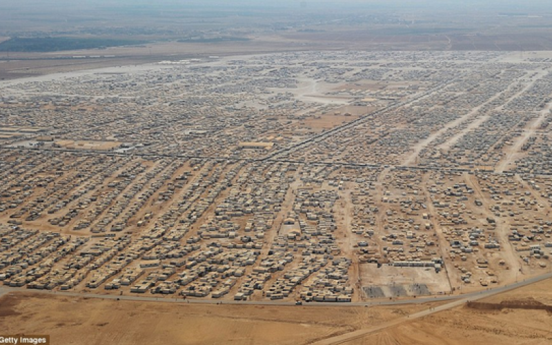 شبيب: اعادة النظر بعقود النقل في الزعتري 