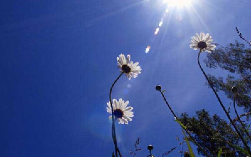 طقس لطيف اليوم 