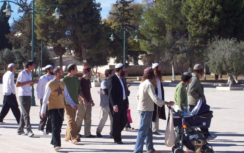 مدير عام الأقصى: تضاعف اقتحامات المسجد رغم التهدئة 