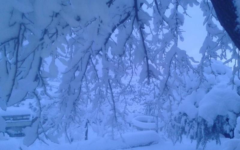 ثلوج أمس واليوم الخميس في بلدة كفر خل - جرش - تصوير صلاح محاسنة