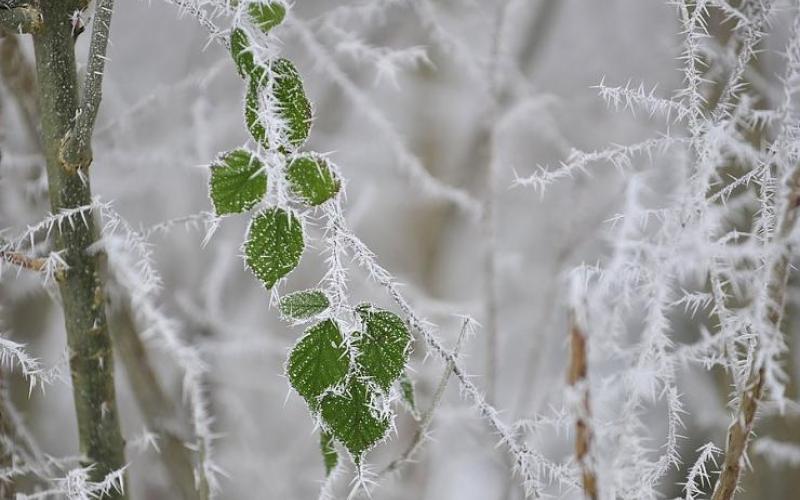 انجماد خطير يضرب في عمان، والتنبؤات تحذر من الخروج حتى الــ 10 من صباح السبت