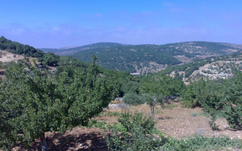 طقس دافئ والحرارة في عمان بين 19 و 9