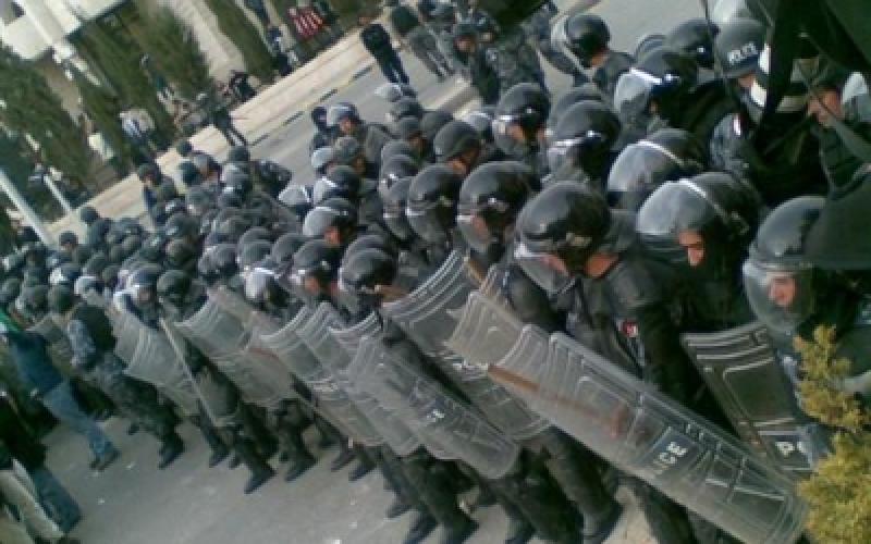 تحويل 11 صاحب بسطة بوسط البلد لشرطة العاصمة