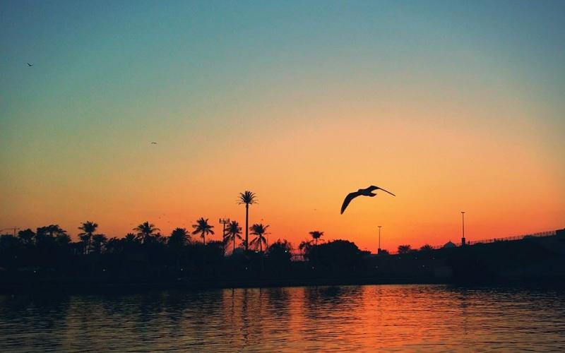 بحيرة خالد - الشارقة - تصوير محمد أبو عرب