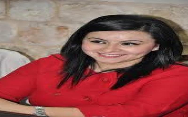 حفلة موسيقيّة من أجل بعوضة