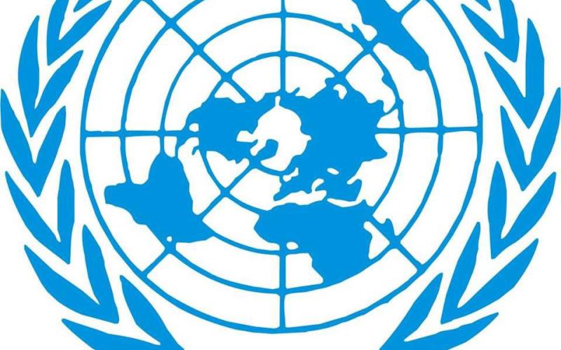 مسؤولان امميان: مقتل الطيار الكساسبة جريمة حرب