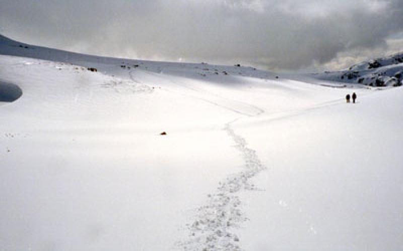 بدء تساقط الثلوج في رأس منيف