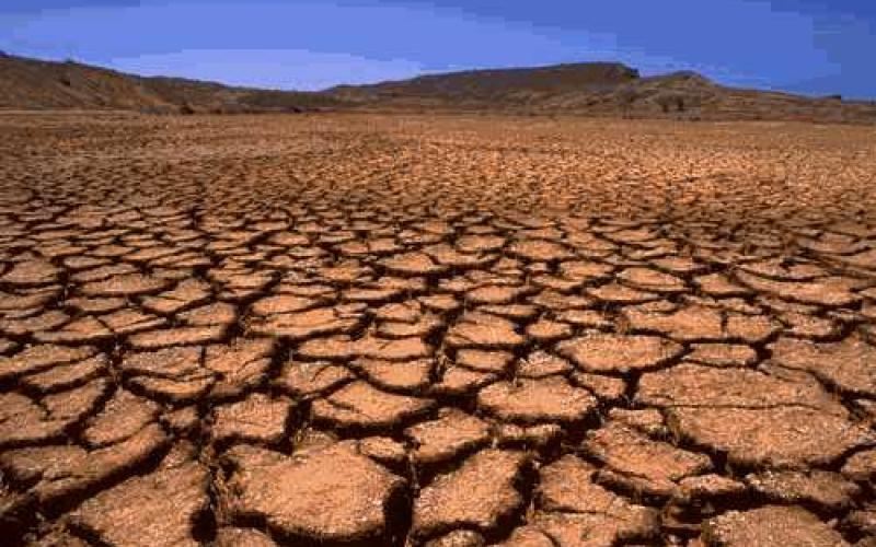 تحذيرات من امتداد الأراضي الصحراوية إلى الرقعة الخضراء