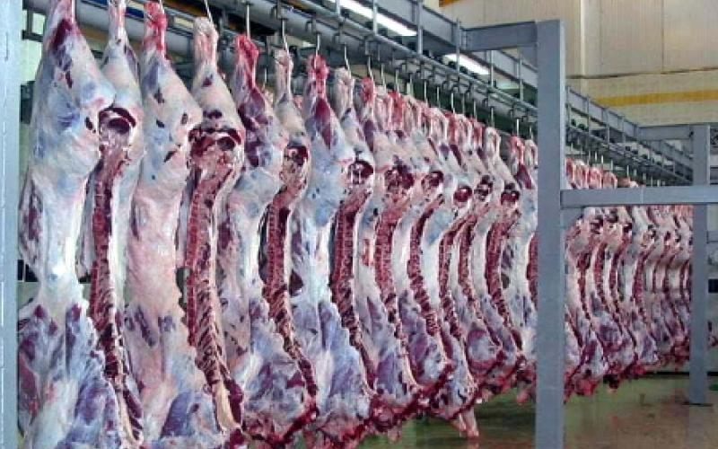 الأمانة تطرح عطاء مشروع مسلخ عمان الجديد في الماضونة