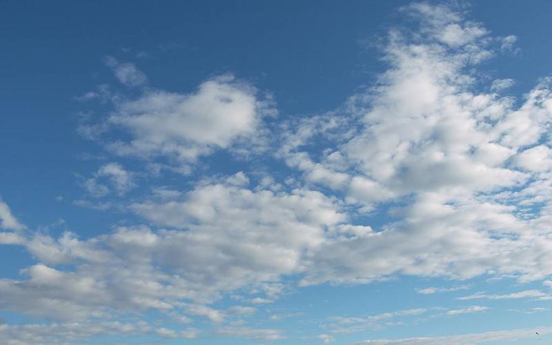 طقس لطيف والحرارة 21-12