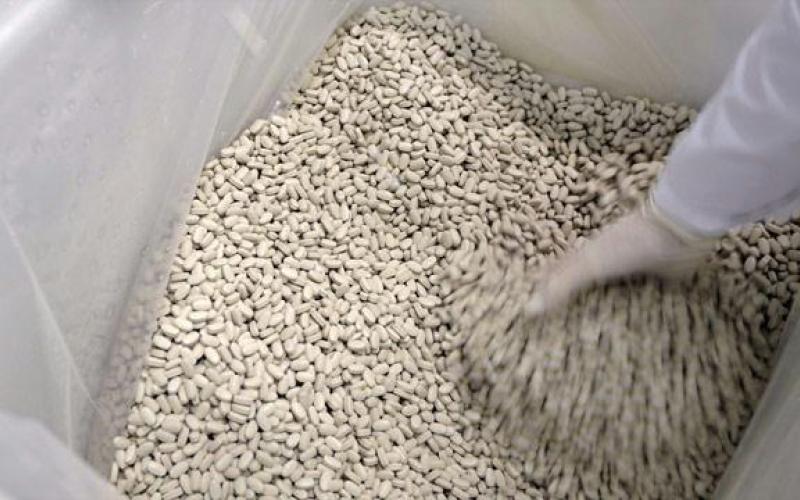 وفاة شخص في احباط عملية تهريب 3 ملايين حبة مخدر