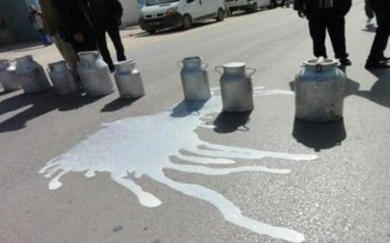 اعتصام لمربي الأبقار احتجاجا على استيراد الحليب المجفف