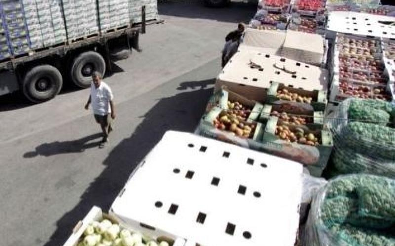 الزعبي: استمرار تصدير الخضار والفواكه إلى العراق