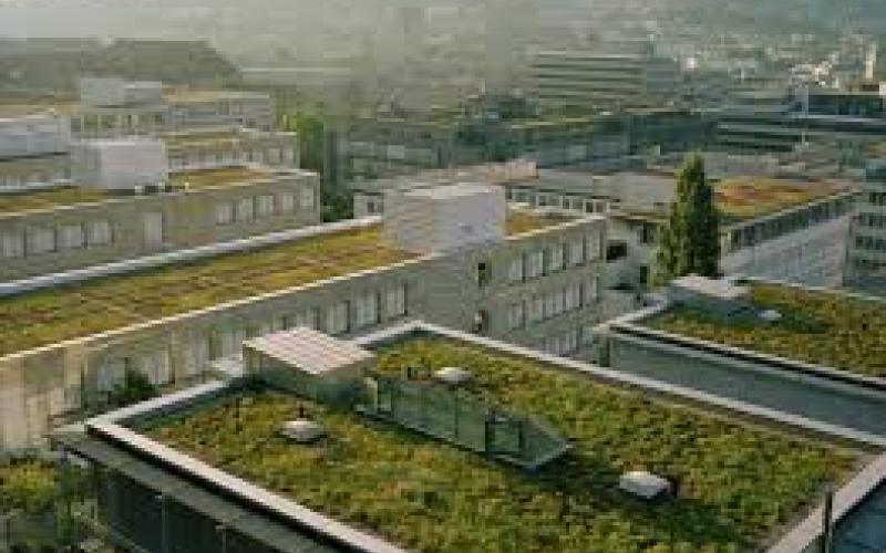 زراعة اسطح المنازل والأثر البيئي