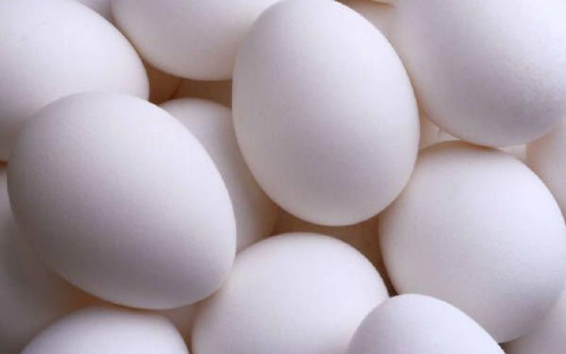 الزراعة تستبعد إلغاء ضريبة بيض المائدة رغم خسائر القطاع