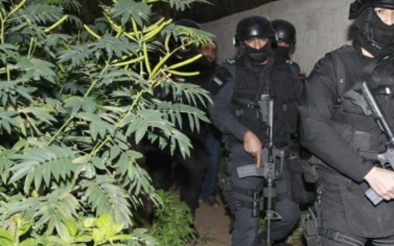 القبض على مطلوب "خطير جداً" بقضايا سرقة مركبات